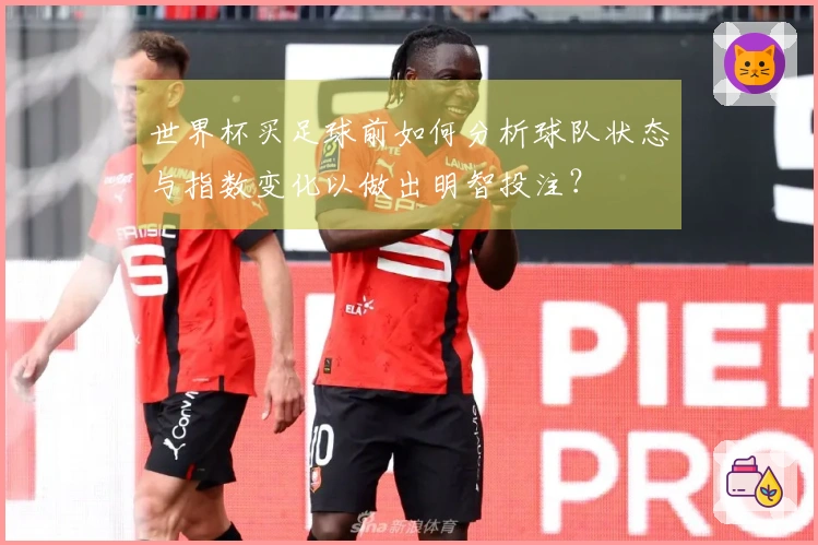 世界杯买足球前如何分析球队状态与指数变化以做出明智投注？
