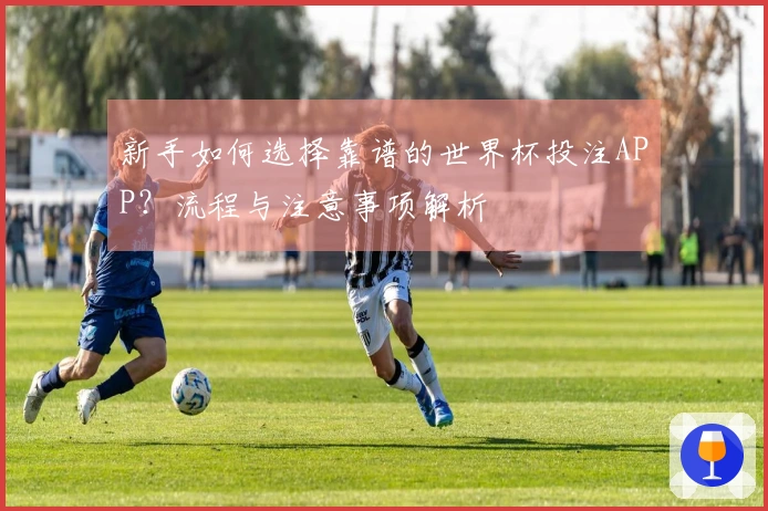 新手如何选择靠谱的世界杯投注APP？流程与注意事项解析
