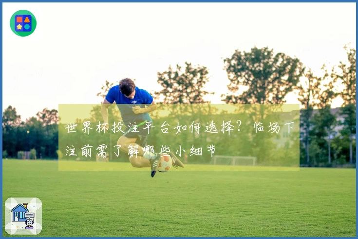 世界杯投注平台如何选择？临场下注前需了解哪些小细节