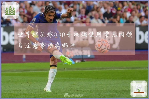 世界杯买球app手机端使用常见问题与注意事项有哪些