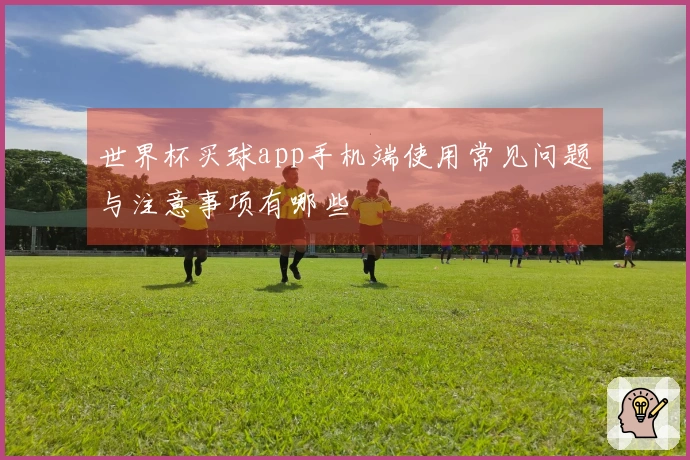 世界杯买球app手机端使用常见问题与注意事项有哪些