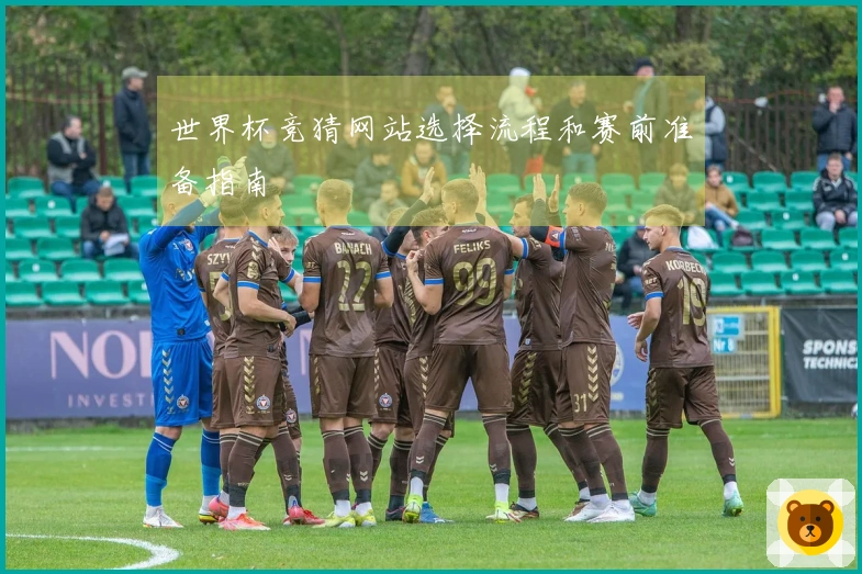 世界杯竞猜网站选择流程和赛前准备指南