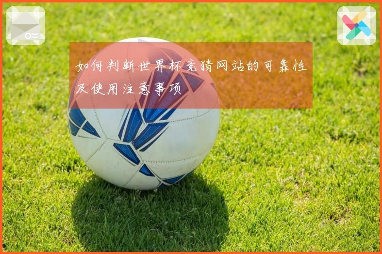 如何判断世界杯竞猜网站的可靠性及使用注意事项